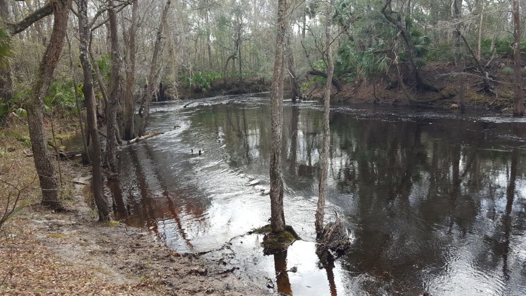 Beautiful Views of Aucilla River
