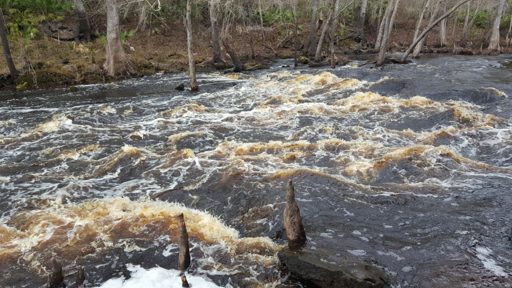 Aucilla River Rapids