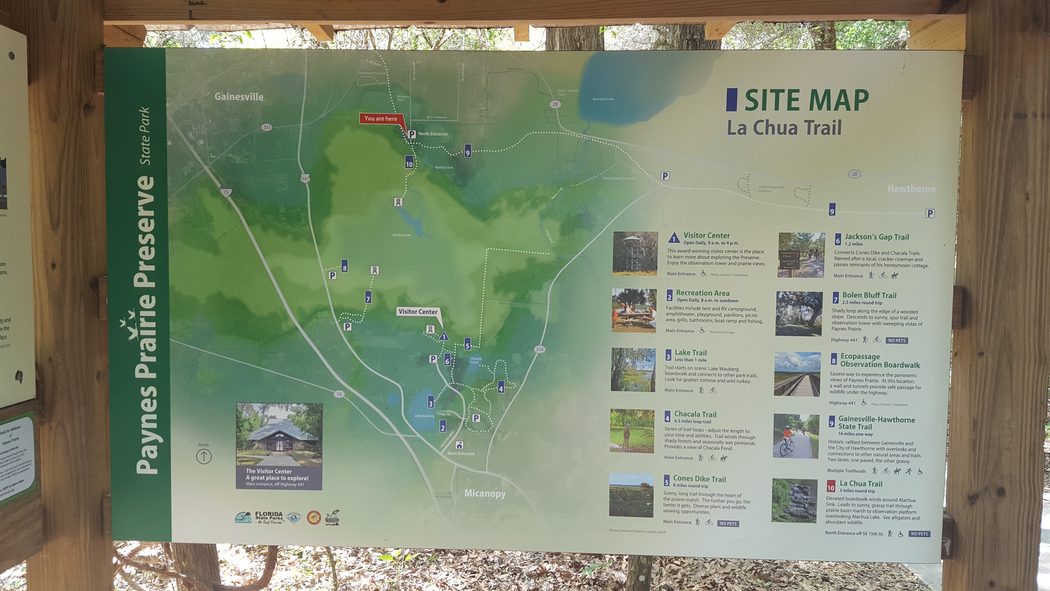 Anthony Galluscio La Chua Trail Hike