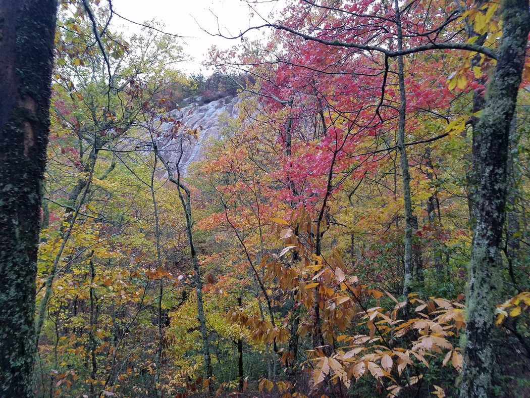 Anthony Galluscio Art Loeb Trail Hike